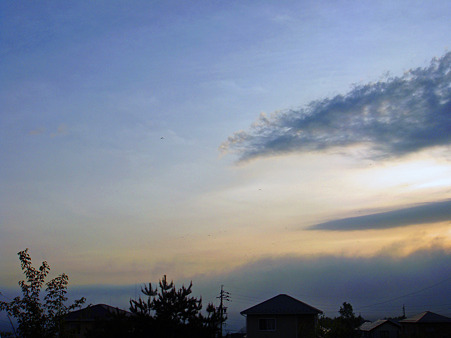 2011/5 おげ邸 BBQ-13