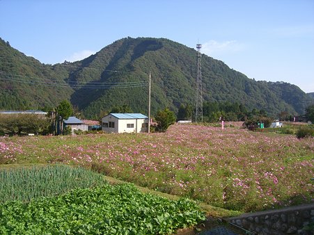CIMG5431