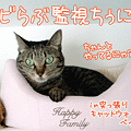 091027-【猫アニメ】チビらぶ監視ちぅ☆