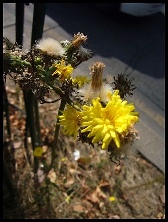P2130173