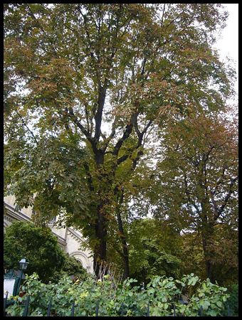 P2140842