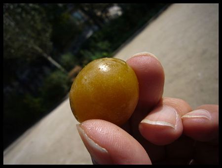P2150071