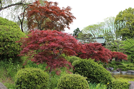 月岡公園