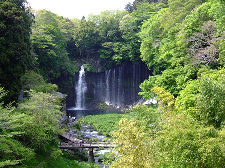 白糸の滝　2011.5.8-3