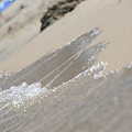 IMG_4568