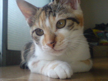 2009072803