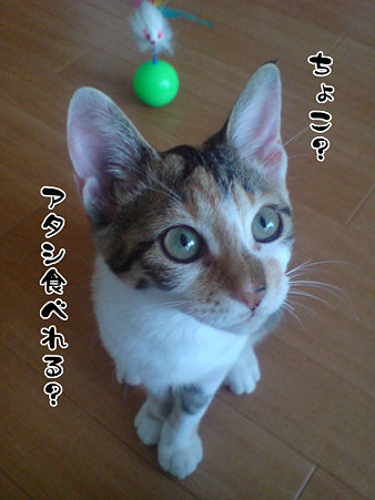 2009081703