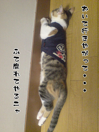 2009081903