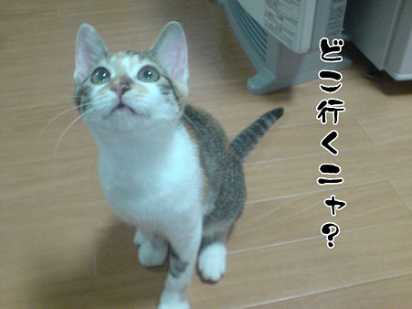 2009081905