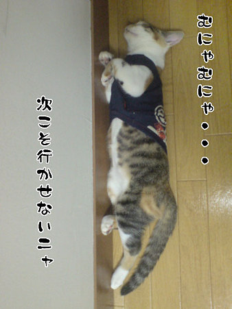 2009081904
