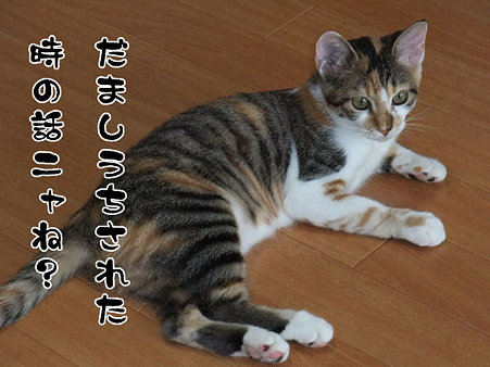 2009082101