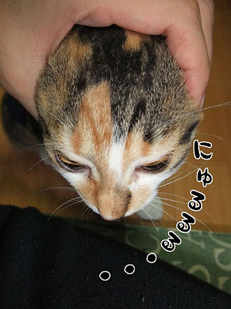2009082204