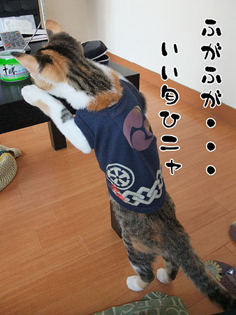 2009082203