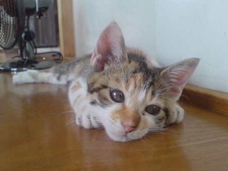 2009070901