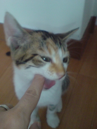 2009071803