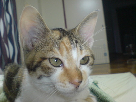 2009072103