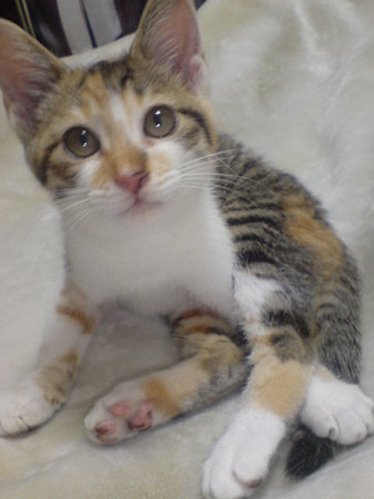 20090703