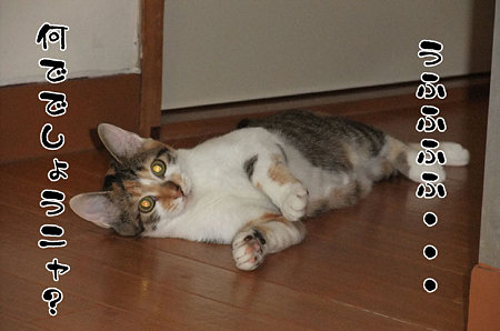 2009082903