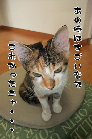 2009083103