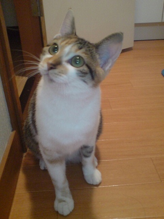 2009100901