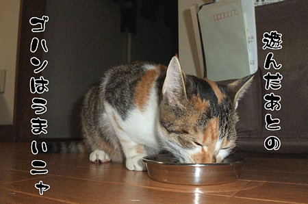 2009101404