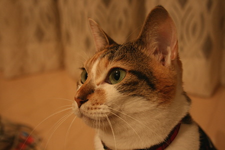 2011020104