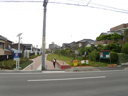 DSCN6110