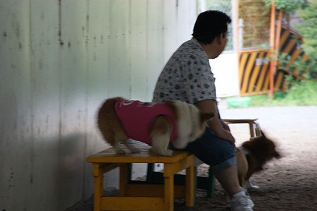 DSC09586