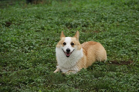 DSC00375