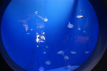 DSC02080