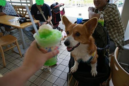 DSC02221