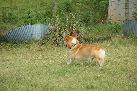 DSC02484