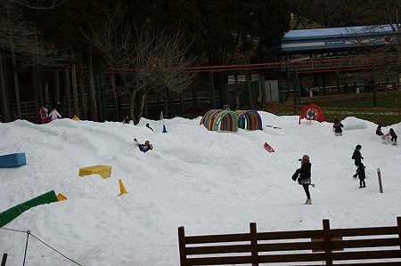 DSC05560