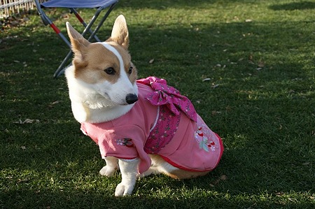 DSC06750