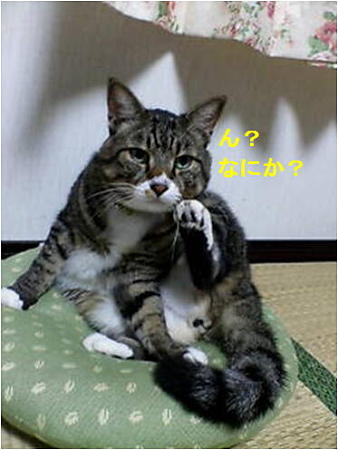 新しい画像 (31)