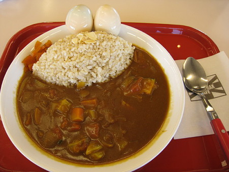 P19TOYOビューラウンジ-6箱根野菜たっぷりカレー（860円）