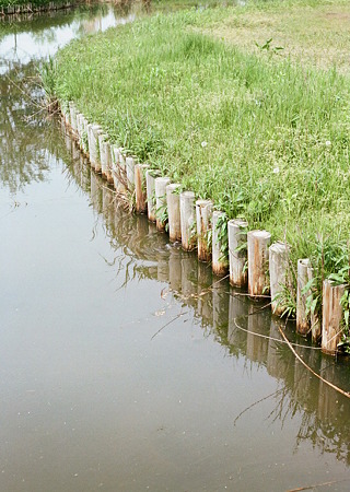 Mizube-kouen_OLYMPUS_PEN_FT_Kodak_PORTRA160NC_05092011-05