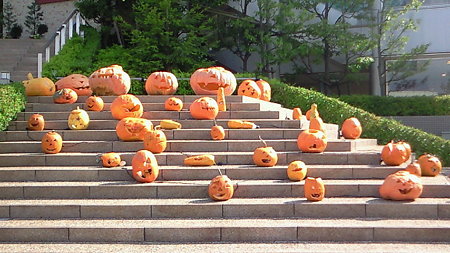 200910301234000