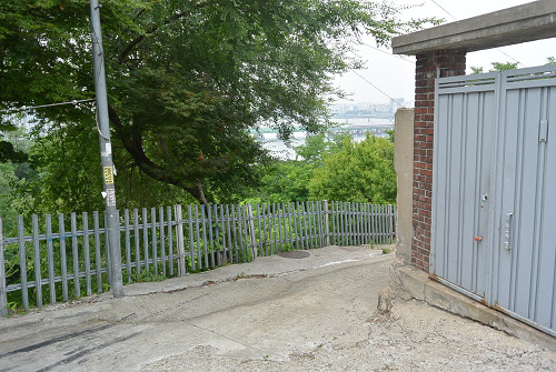 resize0029 写真: resize0029