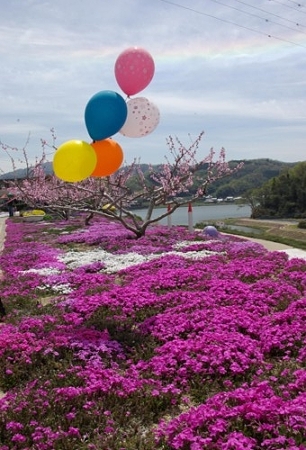 IMGP0045_0415