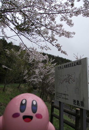 DSCF0269_0422