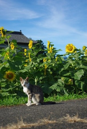IMGP5765_0716