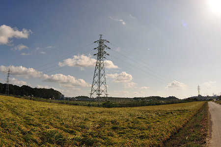 DSC_0210_1550