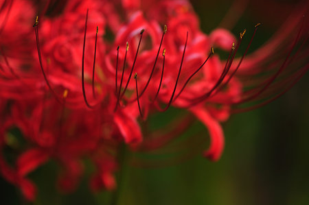 DSC_0015_1595
