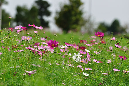 DSC_0044_1745
