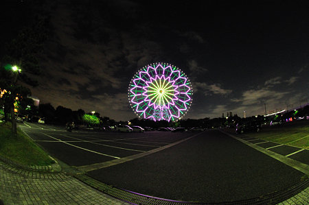 DSC_0299_1808