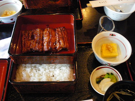 IMGP2585