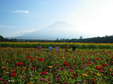 17．富士山とひまわりと盗撮者