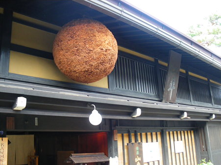 高山杉球