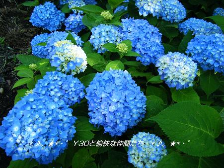 DSCF8703_pa